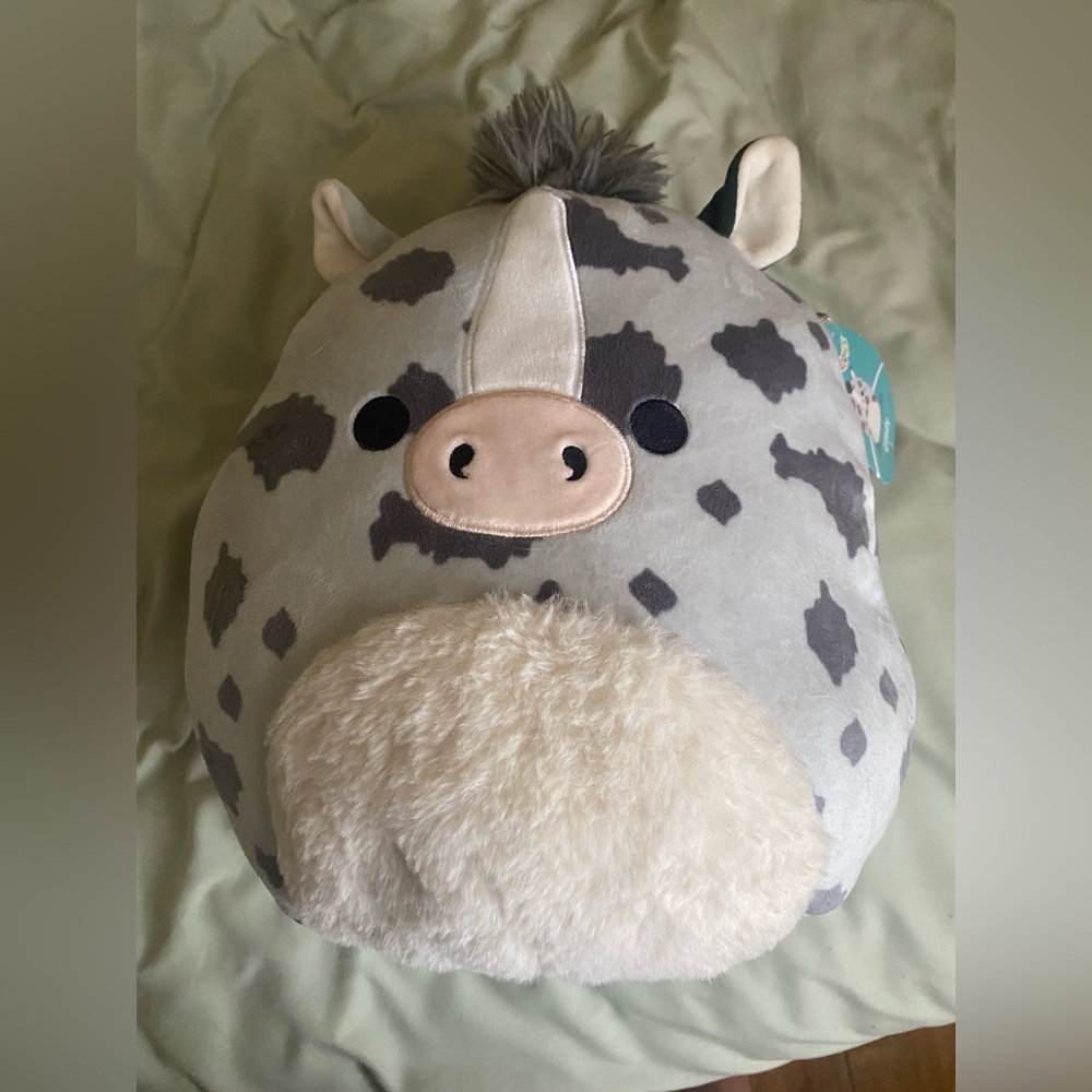 “Grady” squishmallow
